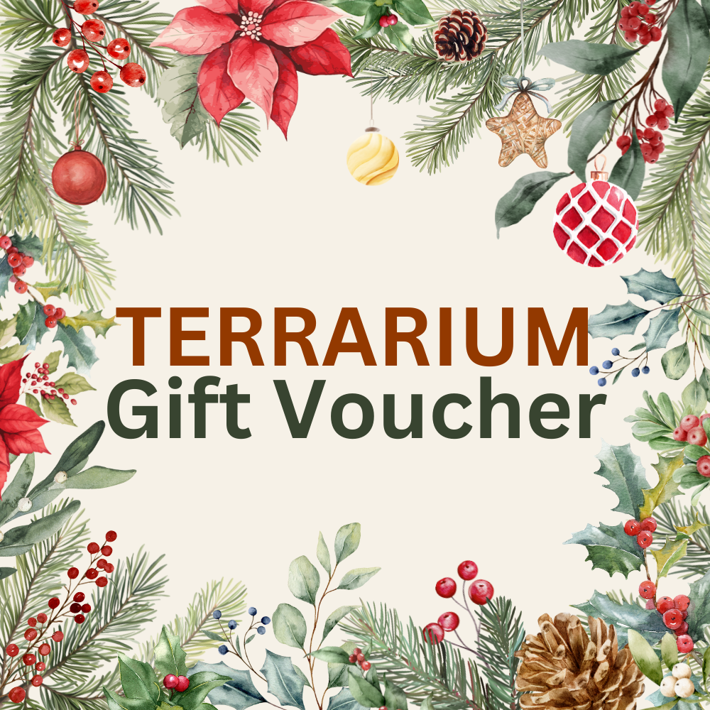 Terrarium Gift Voucher