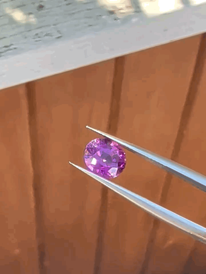 gifFile - 2026-10-11T141625.462.gif