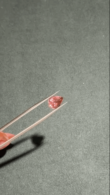 gifFile (86).gif