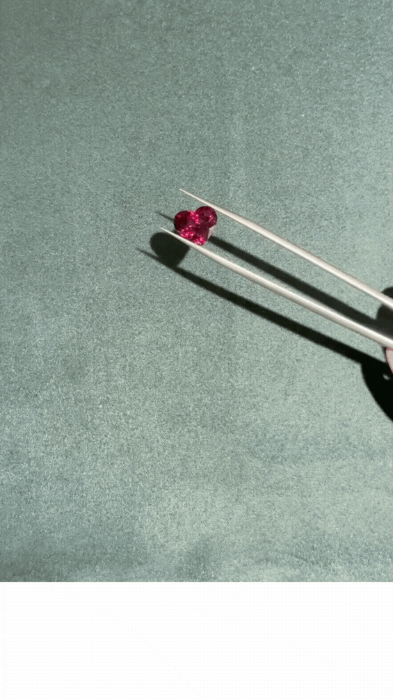 Untitled design (2).gif