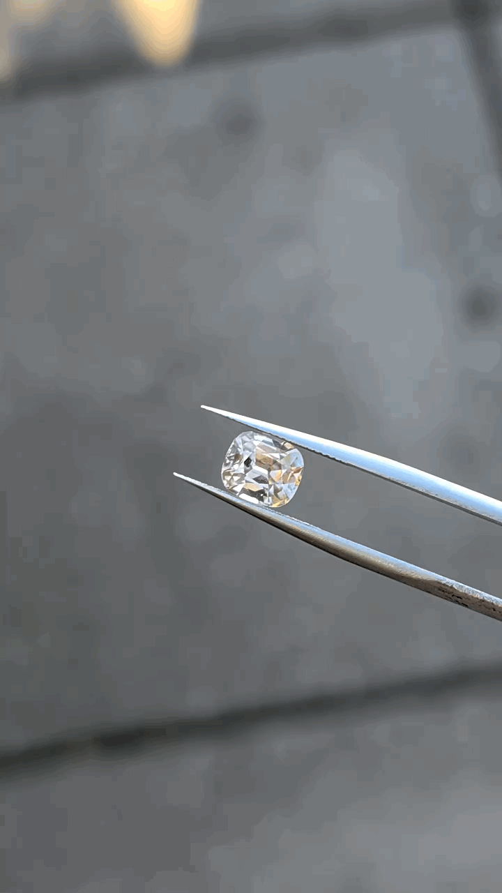 gifFile - 2026-10-09T222859.820.gif