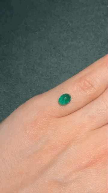 gifFile.gif
