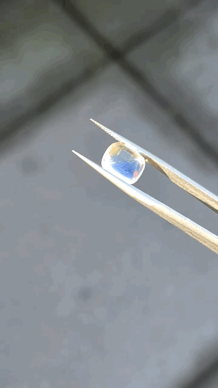 gifFile - 2026-10-11T144846.893.gif