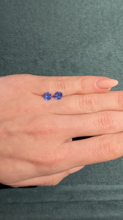 GIFLittleHelper_Share (4).GIF