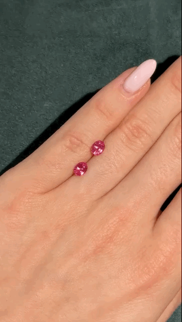 gifFile.gif