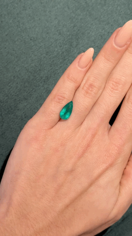 GIFLittleHelper_Share (1).GIF