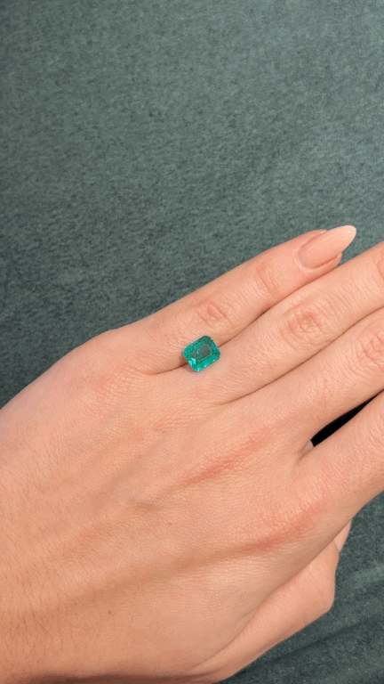 GIFLittleHelper_Share (1).GIF