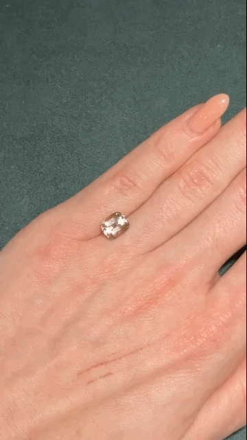 gifFile (95).gif