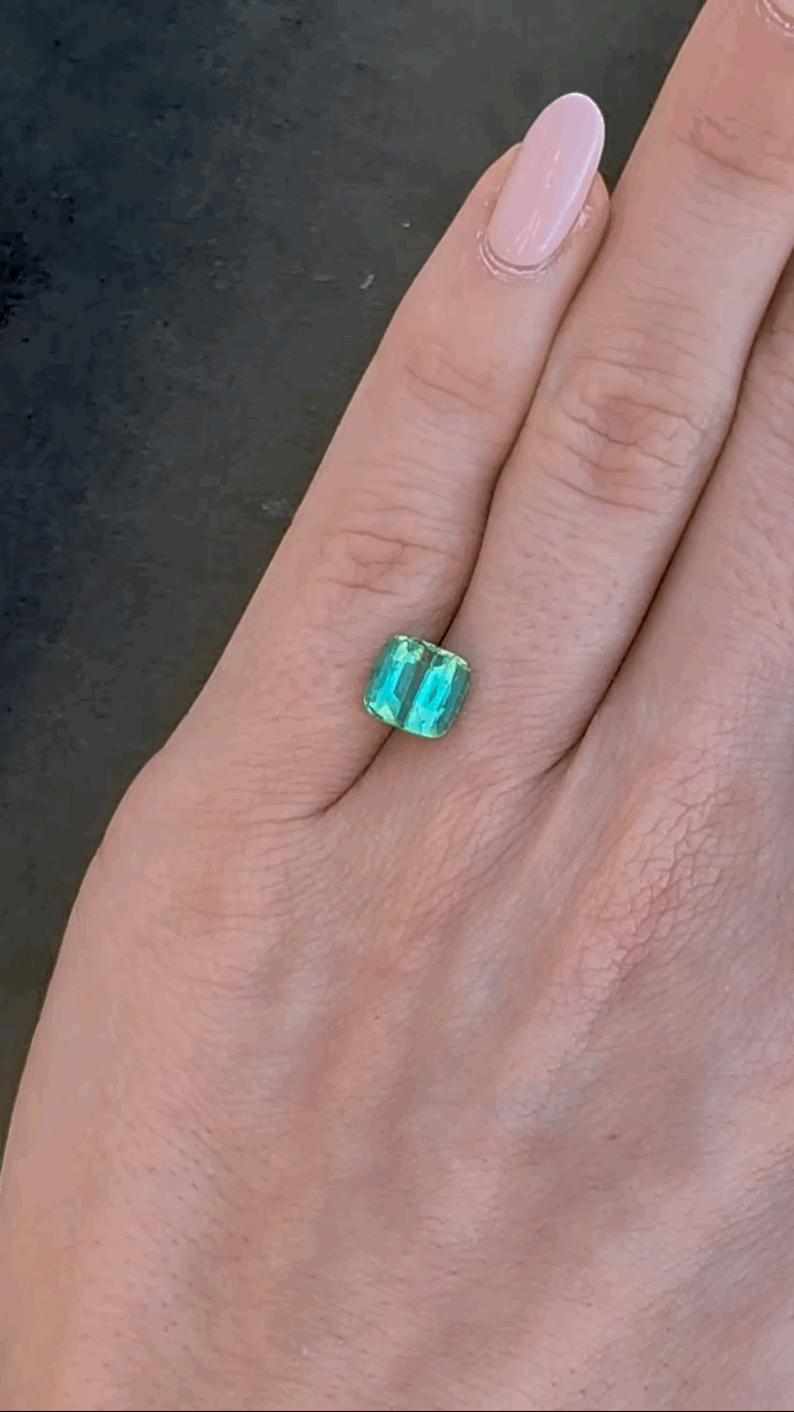 gifFile - 2026-10-09T223707.467.gif