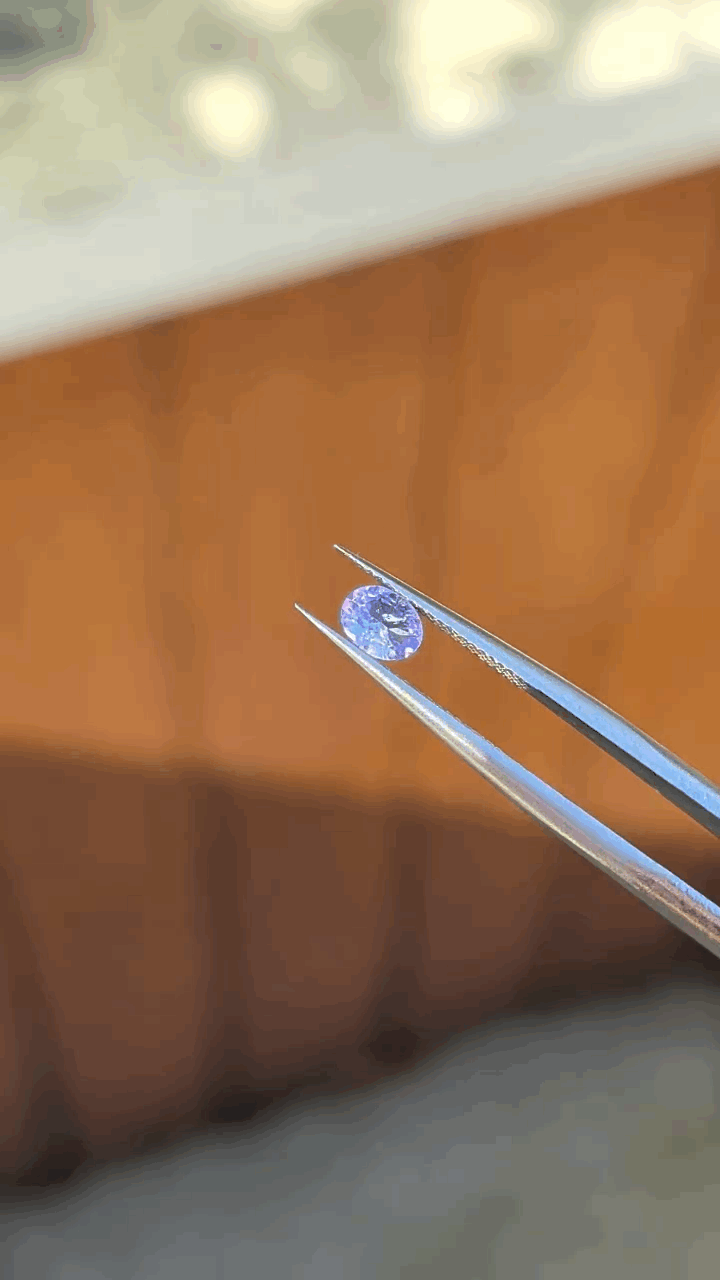 gifFile - 2026-10-11T152454.678.gif
