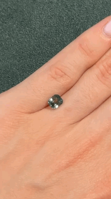 gifFile - 2026-06-29T184806.508.gif