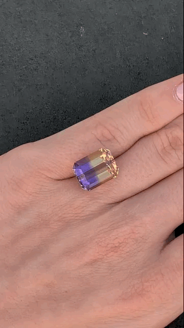 gifFile - 2026-10-09T210024.056.gif