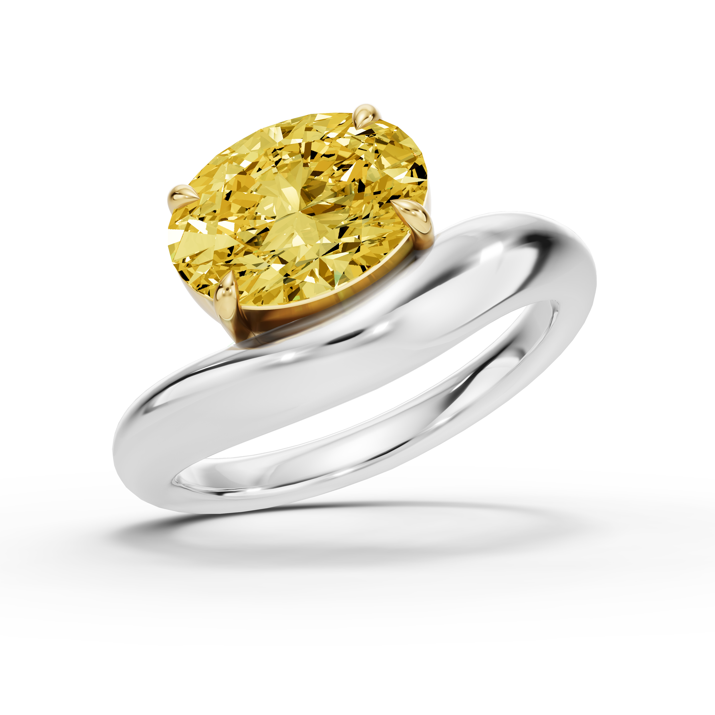 Ring 1 Render (9).png