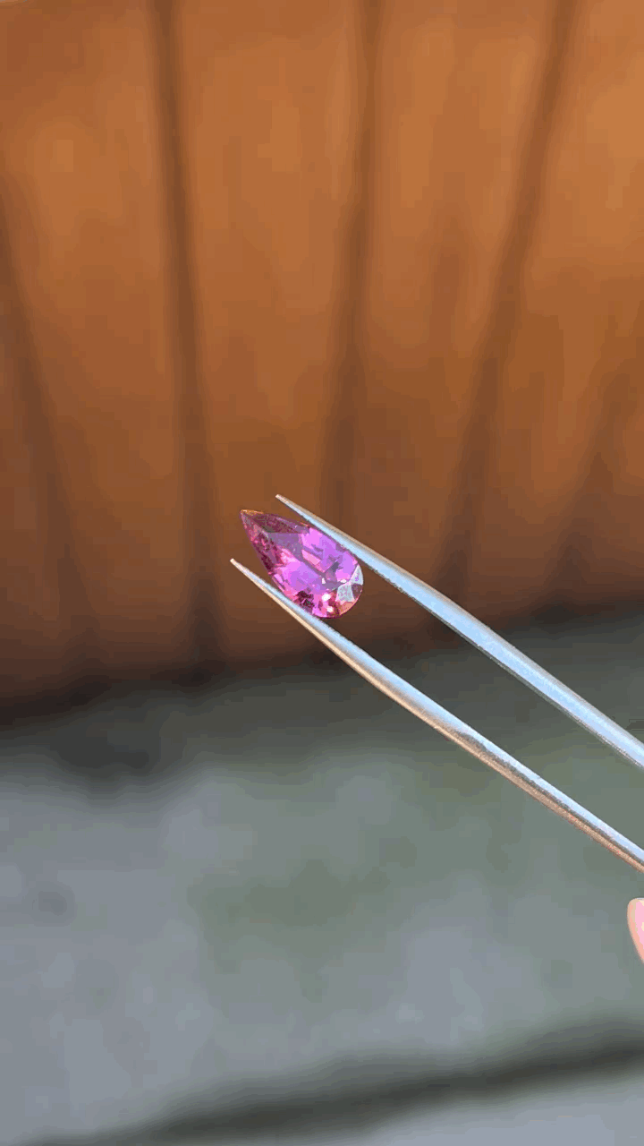 gifFile - 2026-10-11T141033.672.gif