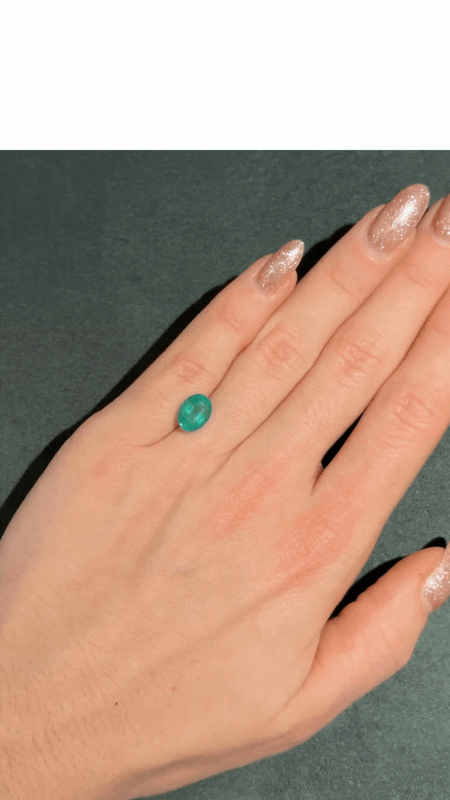 Untitled design (2).gif