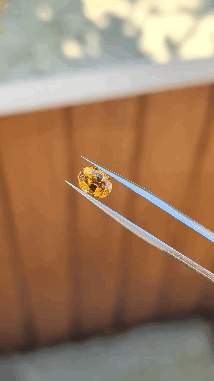 gifFile - 2026-10-09T225005.550.gif