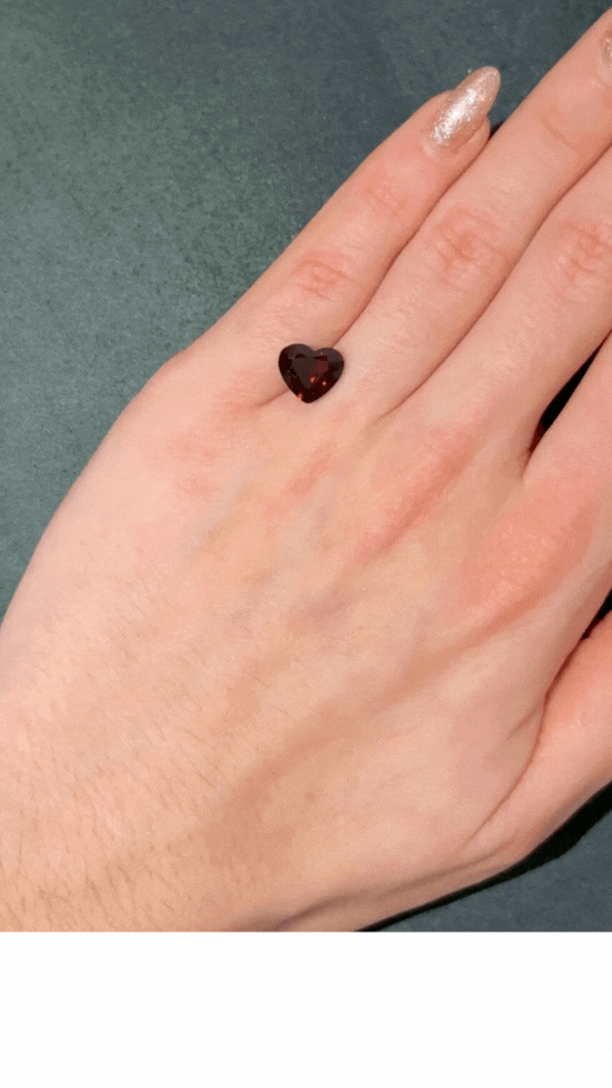 Untitled design (1).gif