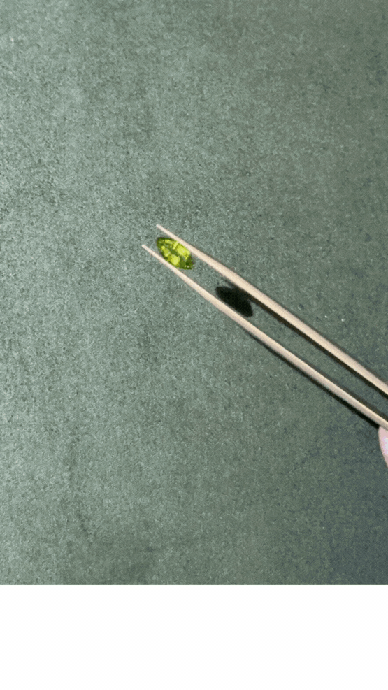 Untitled design (1).gif