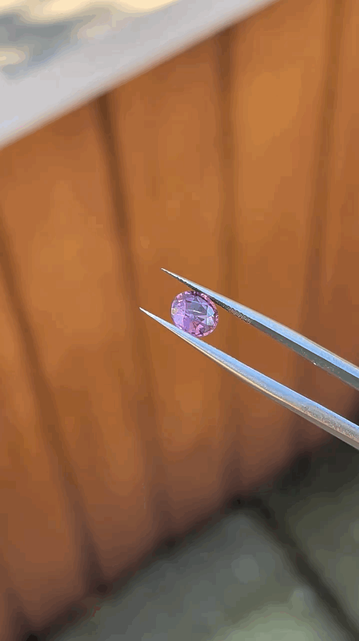 gifFile - 2026-10-11T215059.676.gif