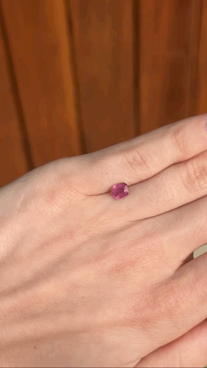 gifFile - 2026-10-12T184457.608.gif