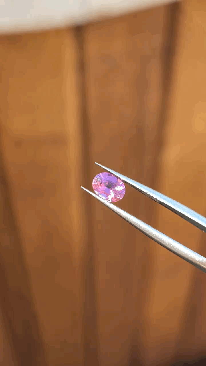 gifFile - 2026-10-11T150012.477.gif