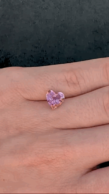 gifFile - 2026-10-09T210947.366.gif