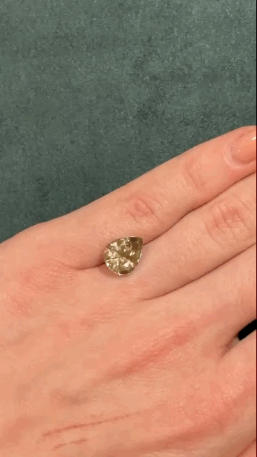 gifFile (91).gif