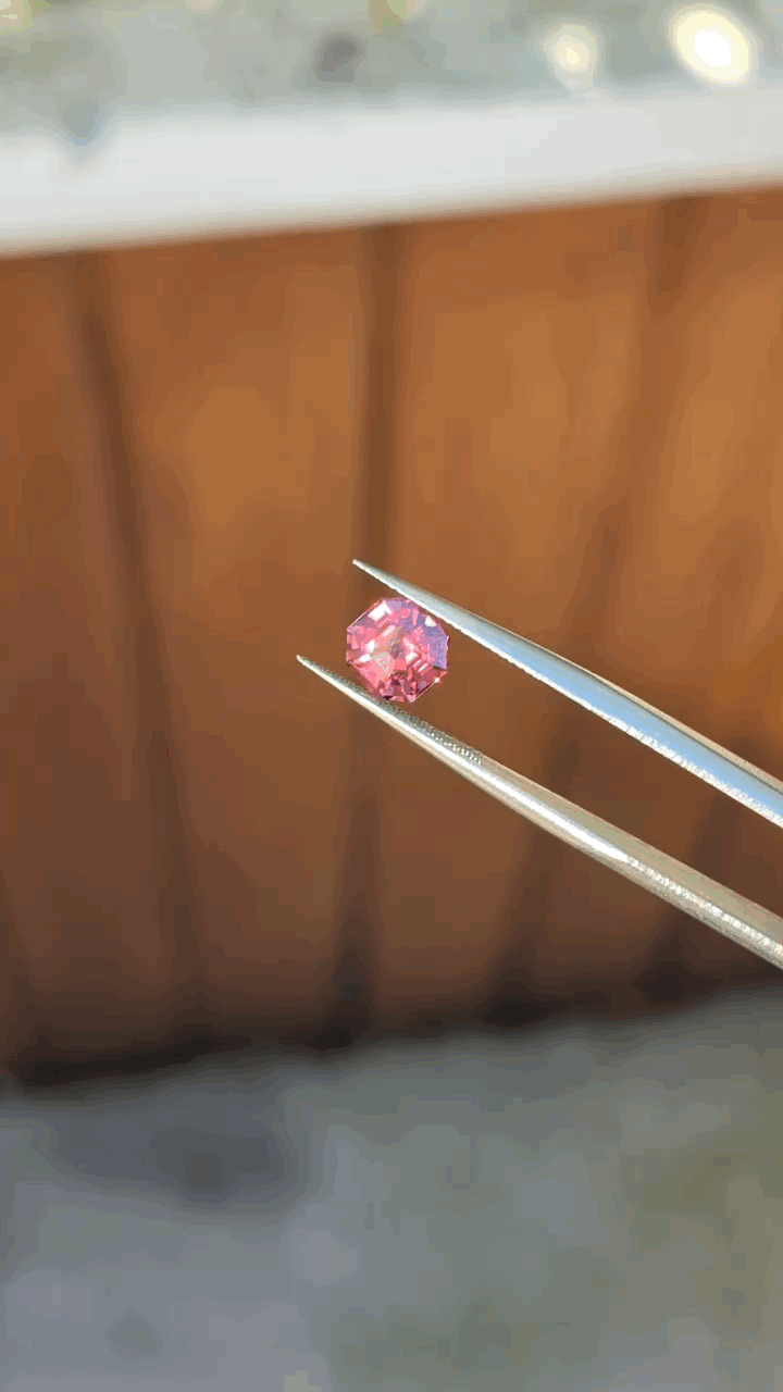 gifFile - 2026-10-11T210814.493.gif