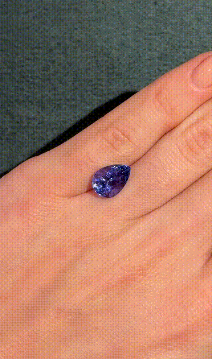 GIFLittleHelper_Share (1).GIF