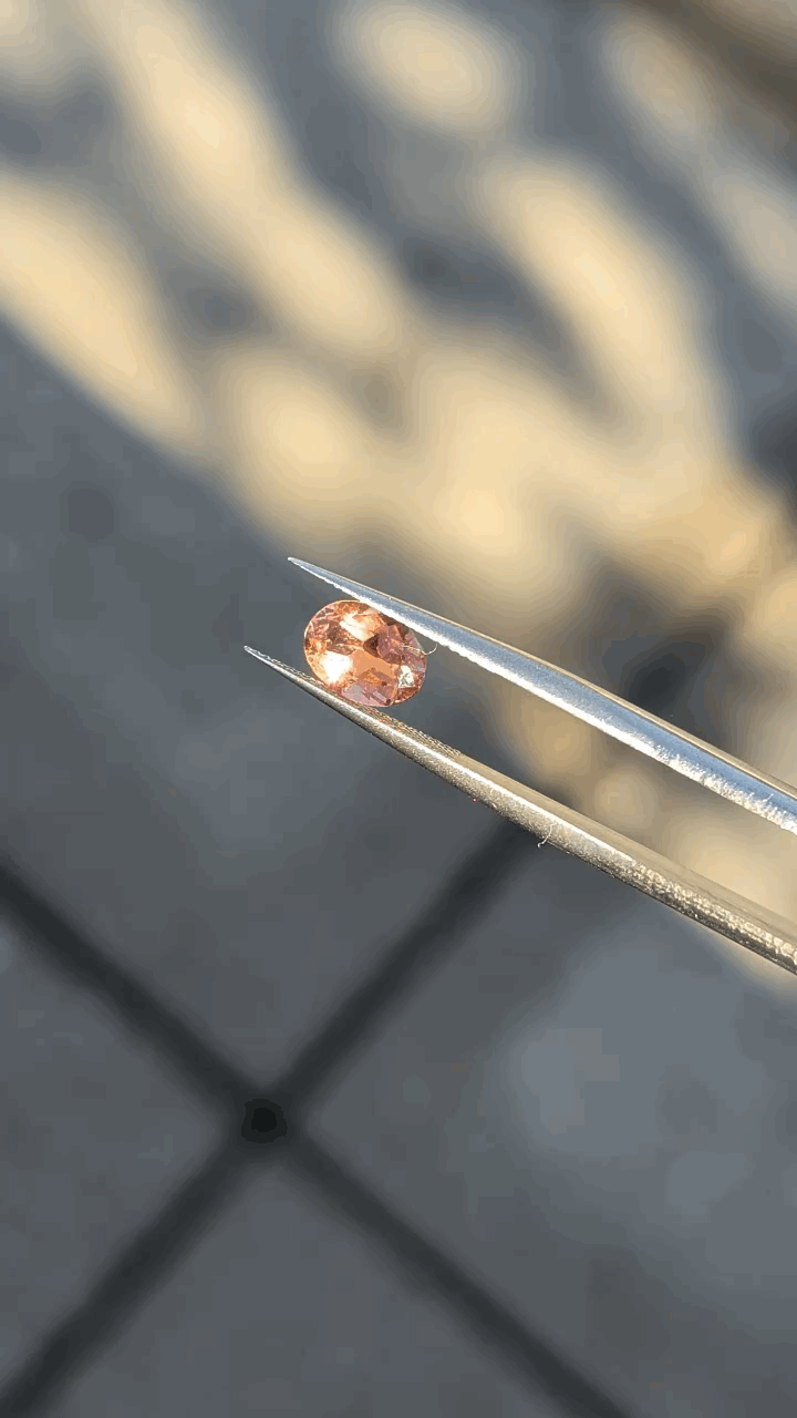 gifFile - 2026-10-09T215635.096.gif