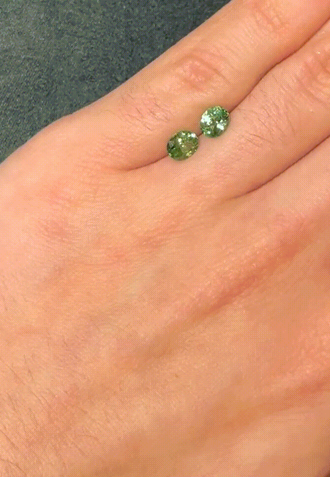 GIFLittleHelper_Share (2).GIF