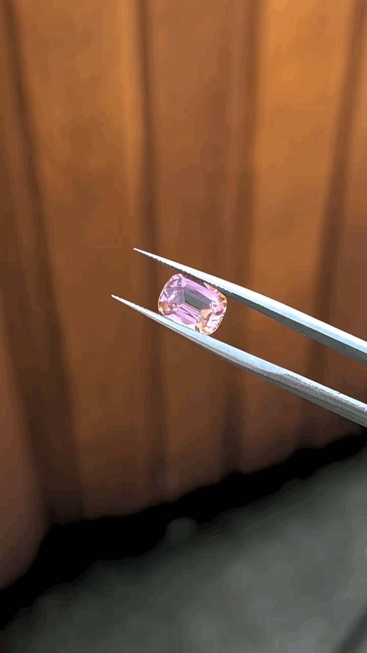 gifFile - 2026-10-11T211900.208.gif