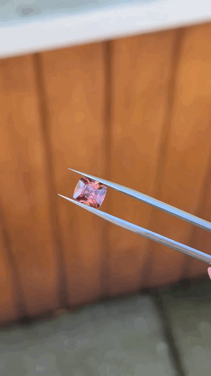 gifFile - 2026-10-11T205938.711.gif