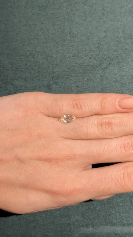 GIFLittleHelper_Share (2).GIF