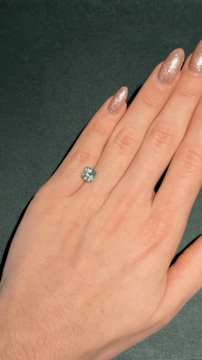 Untitled design (1).gif