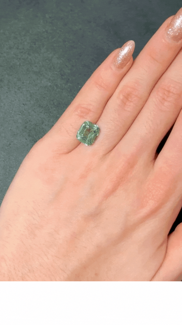 Untitled design (3).gif