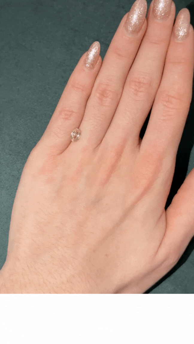 Untitled design (4).gif