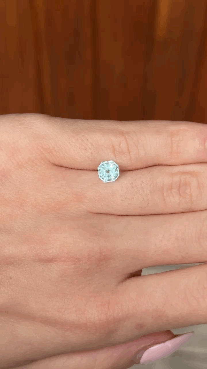 gifFile - 2026-10-12T105128.923.gif