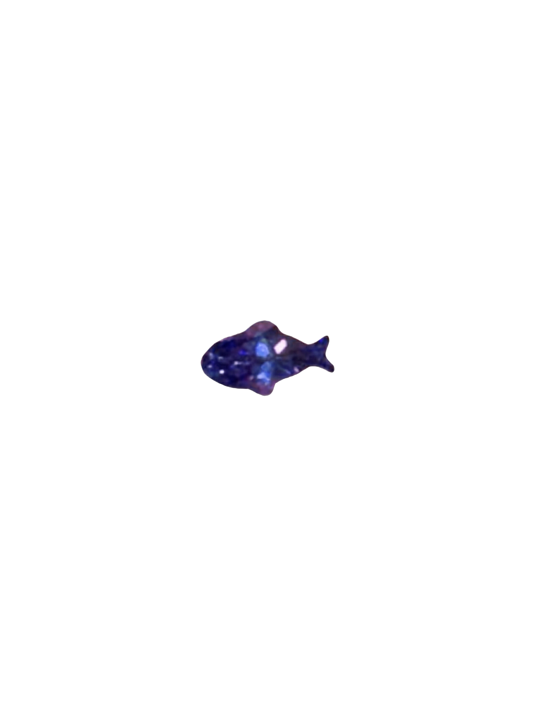 1.2ct Fish Tanzanite