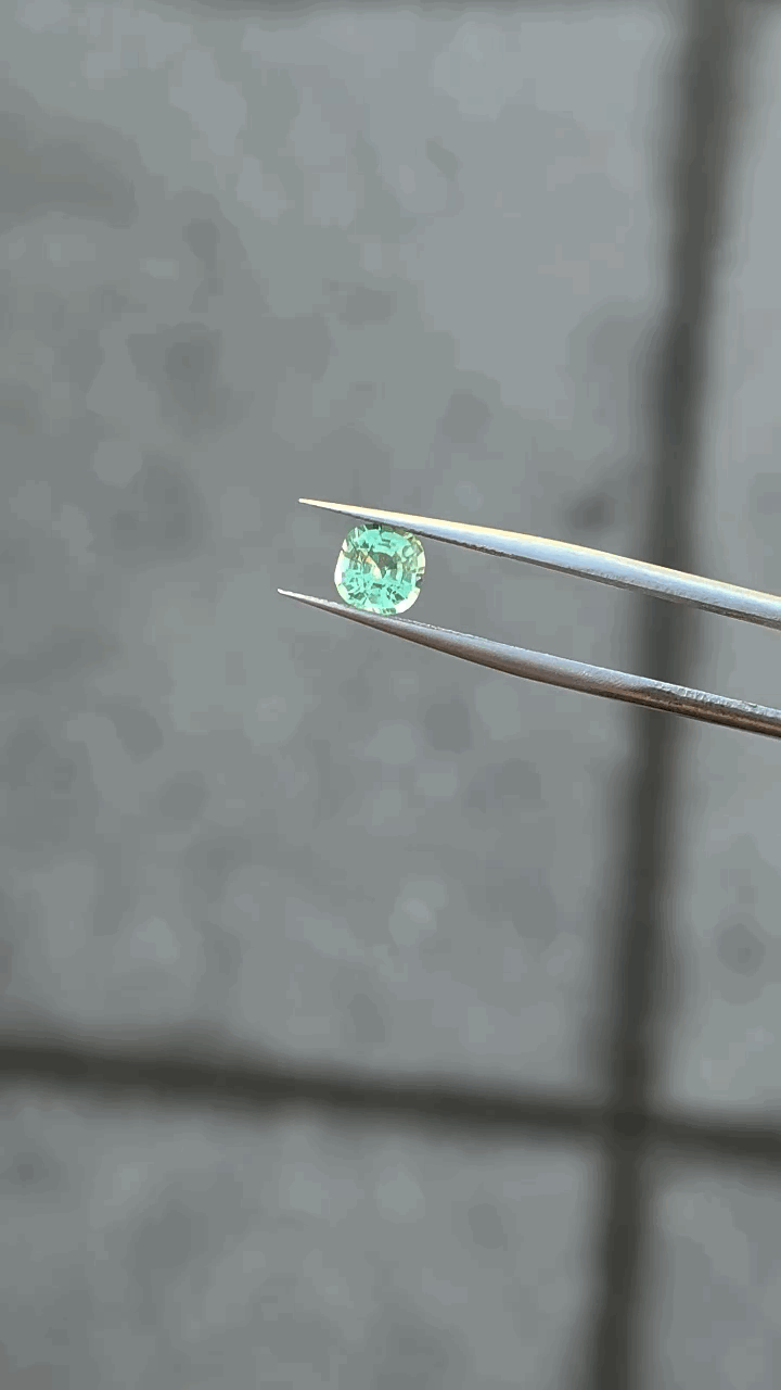 gifFile - 2026-10-09T220302.904.gif