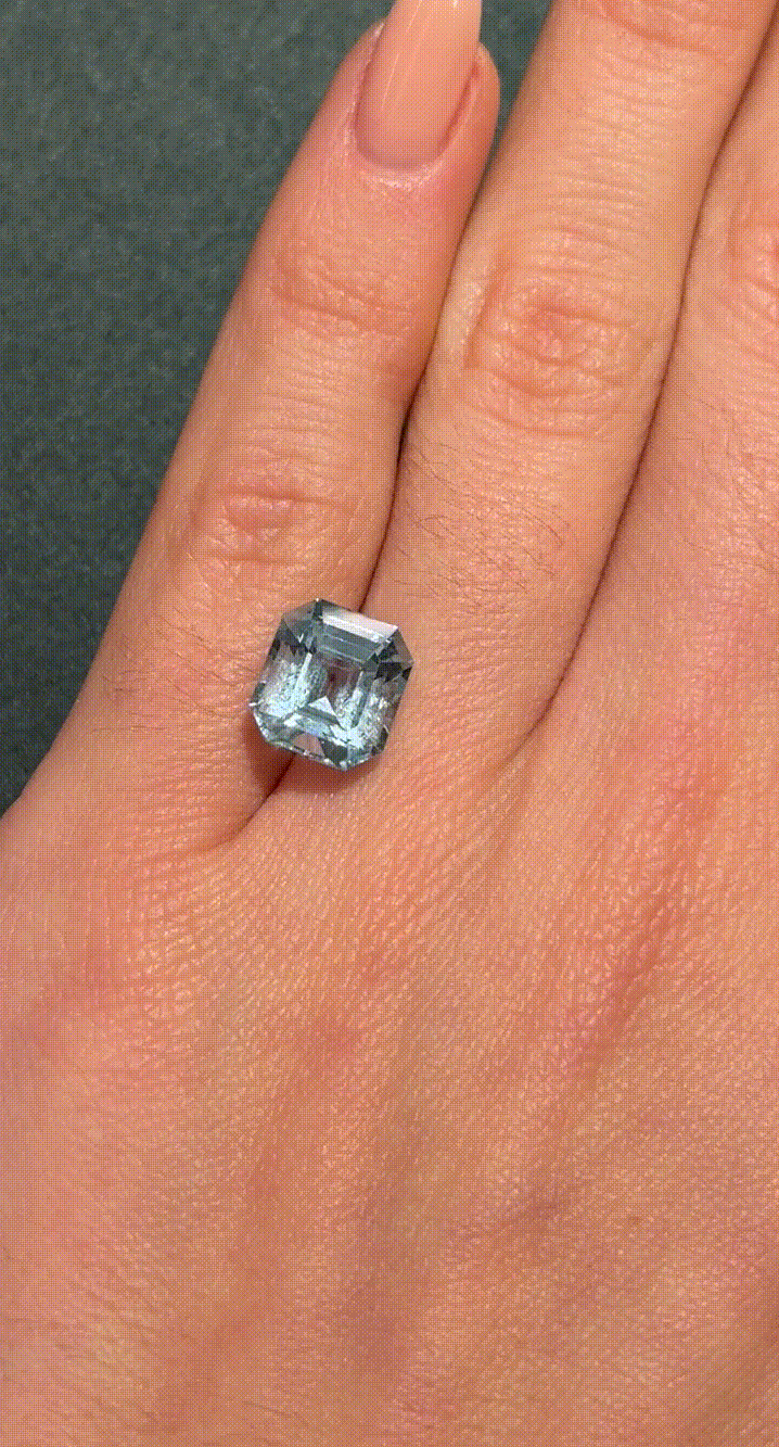 GIFLittleHelper_Share (2).GIF