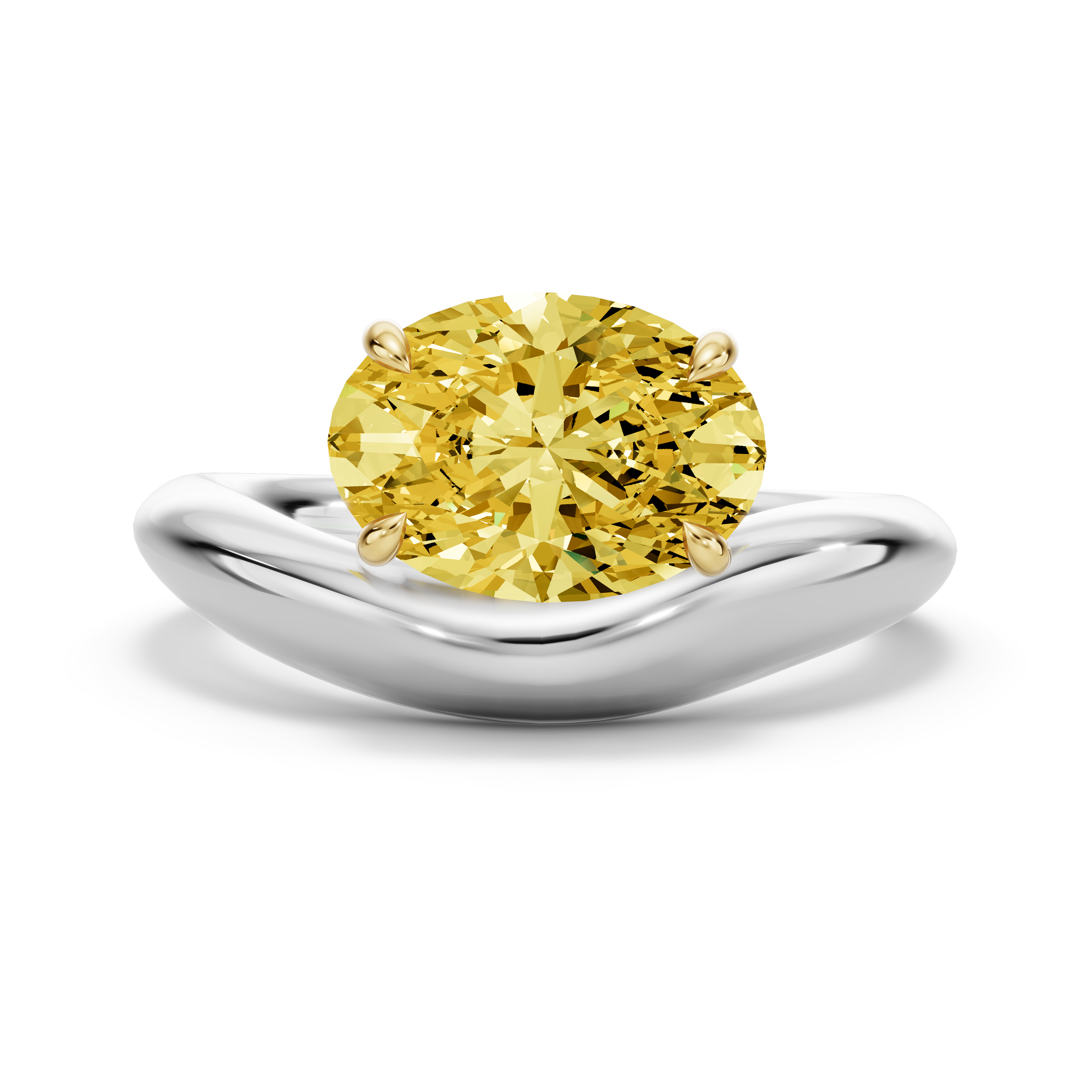 Ring 1 Render (5).png