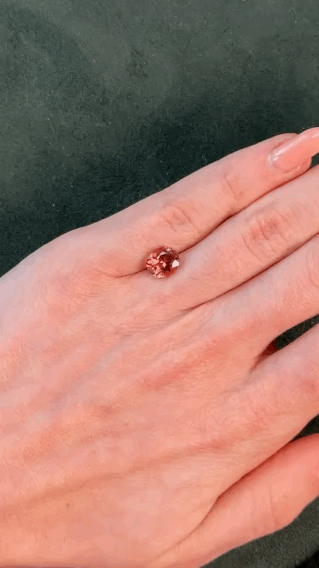 gifFile - 2026-05-18T181636.050.gif