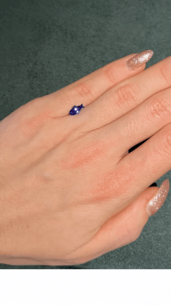 Untitled design (2).gif