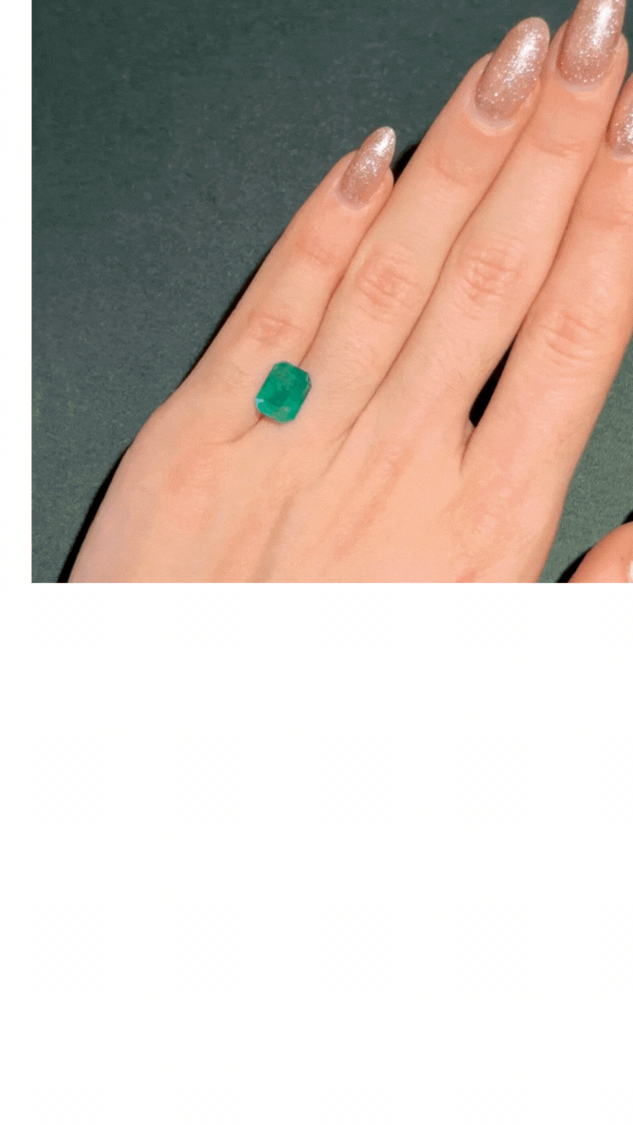 Untitled design (1).gif