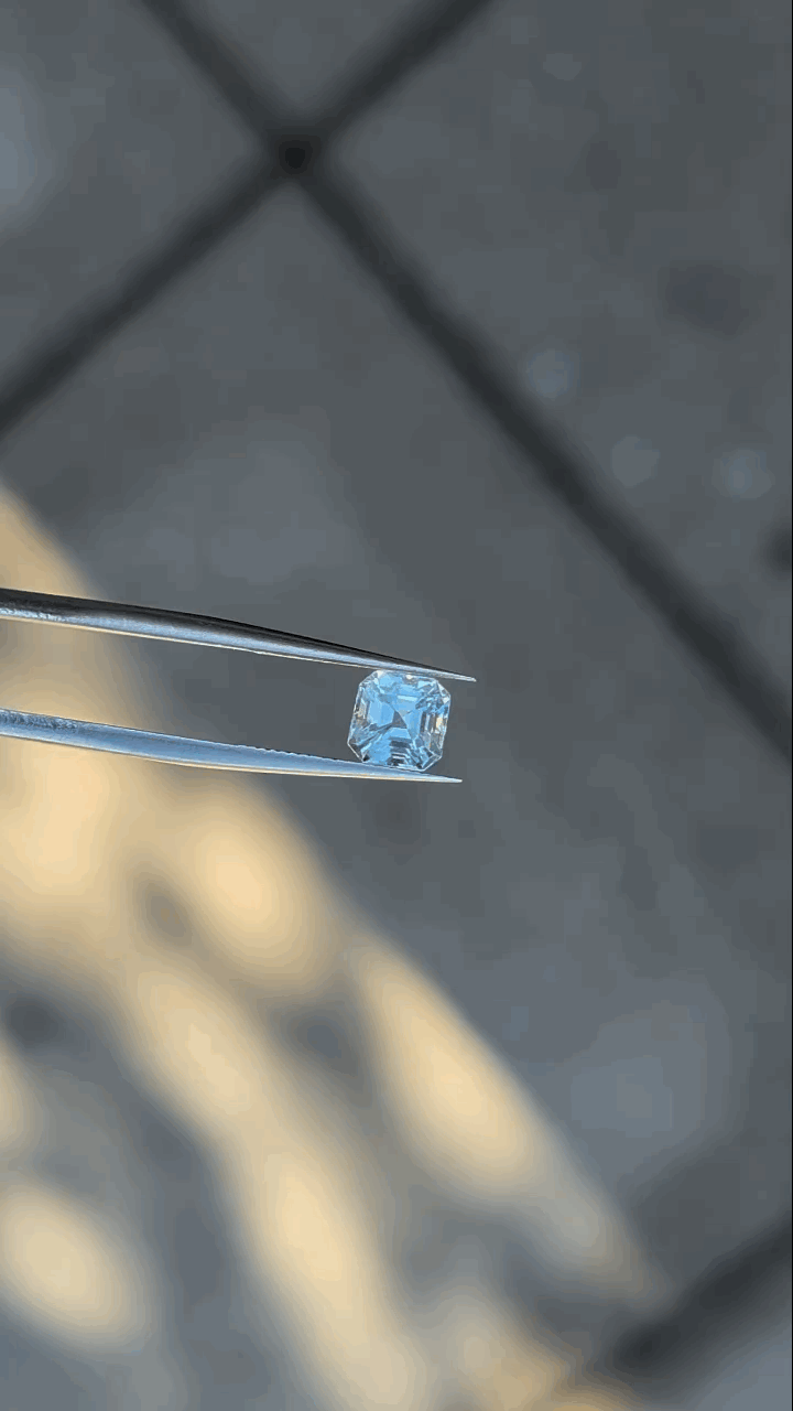 gifFile - 2026-10-09T214347.521.gif