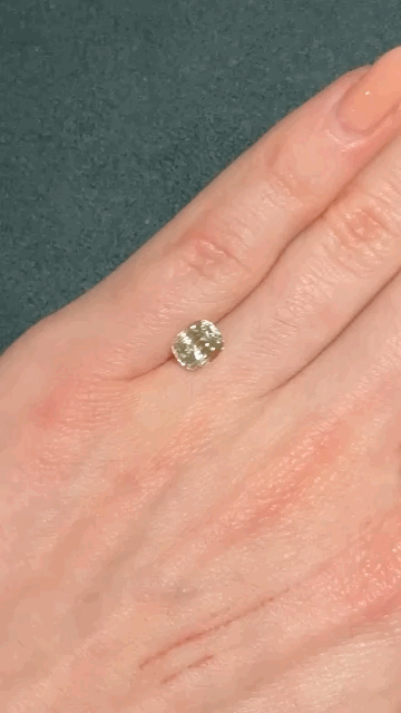 gifFile (97).gif