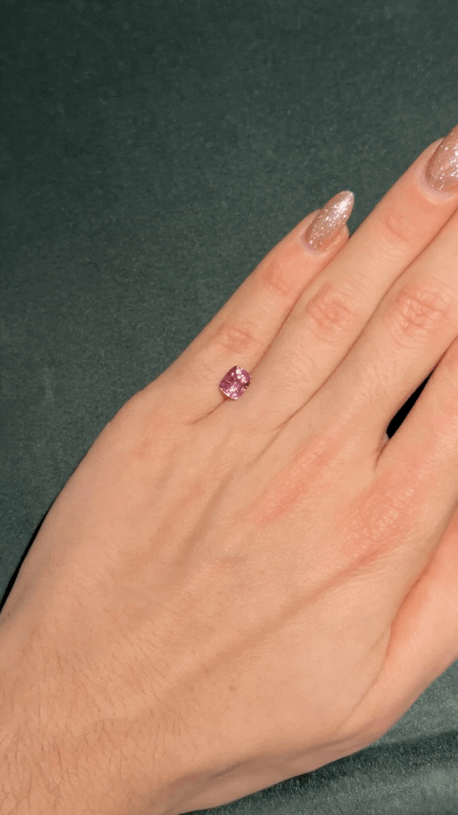 Untitled design (3).gif