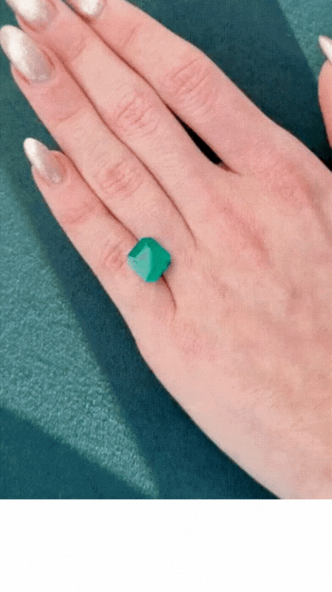 Untitled design (1).gif