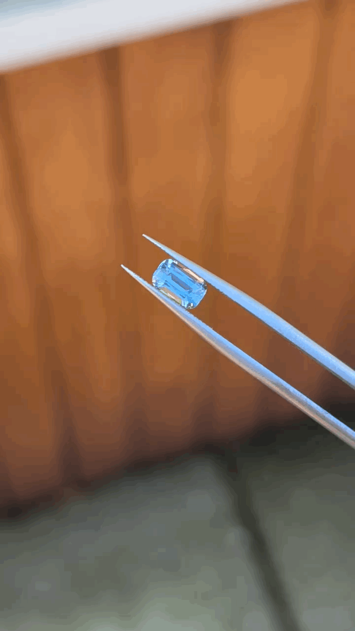 gifFile - 2026-10-11T214751.465.gif